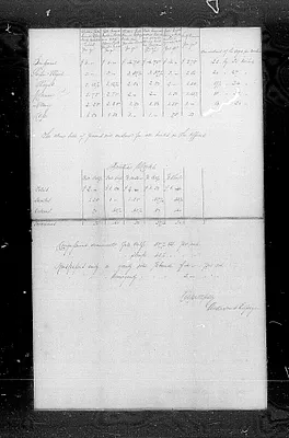 p. 19