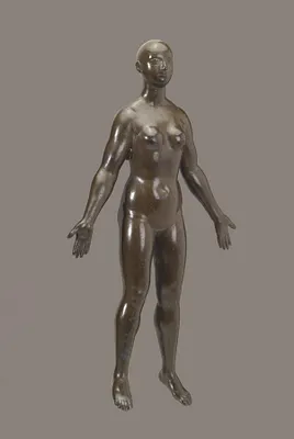 Anatomical Figure of a Woman