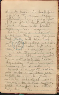 p. 7