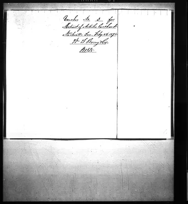 p. 31
