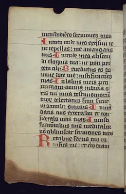 Capital R