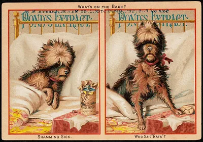 Pond's Extract - Shamming sick. Who said "rats"?