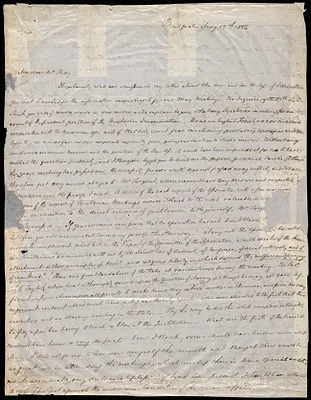 Letter from S. Alfred Steinthal, Bridgewater, [England], to Samuel May, May 19th, 1856