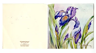 p. 2