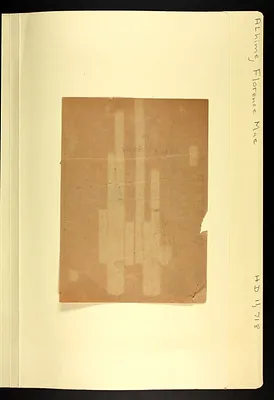 p. 19