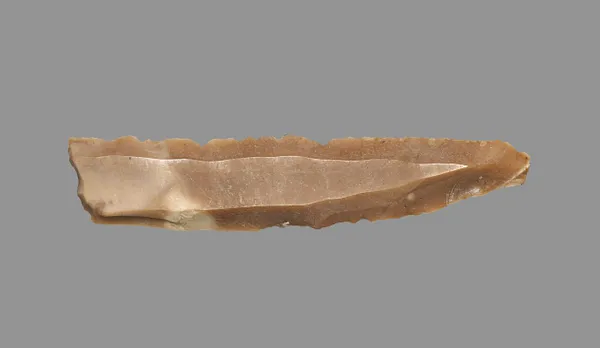 Sickle Blade