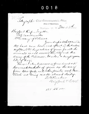 p. 29