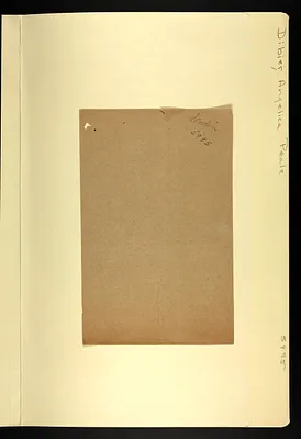 p. 32