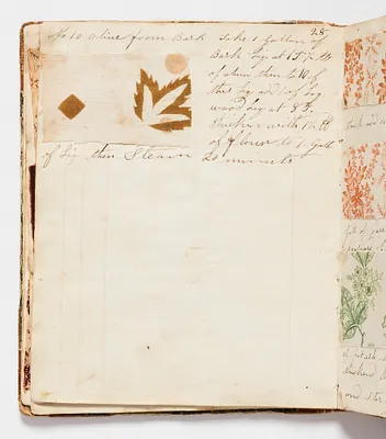 p. 21