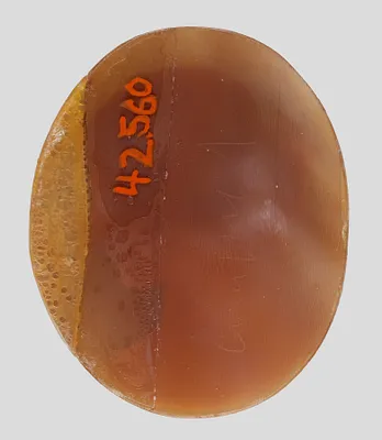 Cameo after William Henry Rinehart's Sculpture ""The Woman of Samaria""