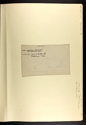 p. 19
