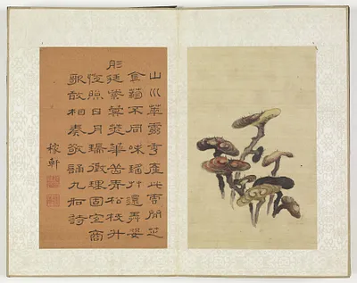 p. 21