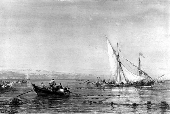 Tunny Fishing