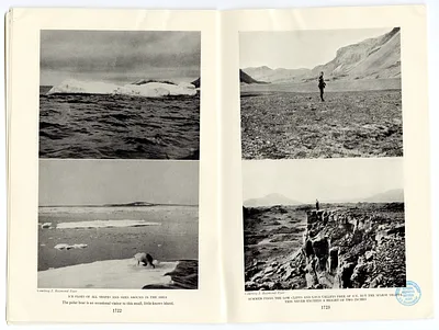 p. 7