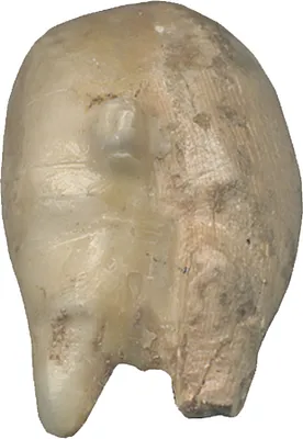 p. 5