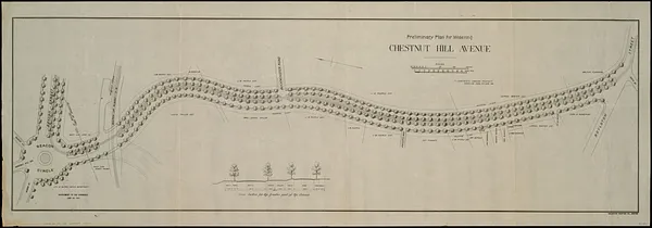 Preliminary plan for widening Chestnut Hill Avenue