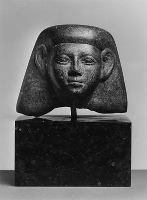 Head