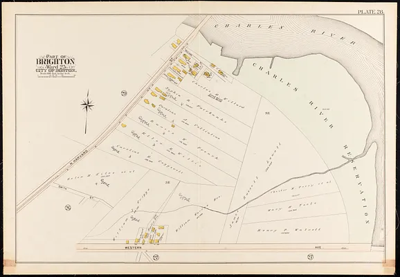 Atlas of the city of Boston, Brighton