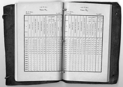 p. 28