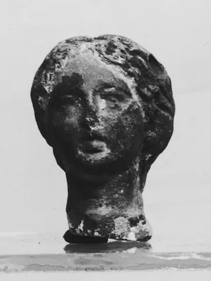 Head of a Woman