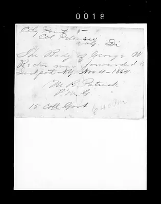 p. 29