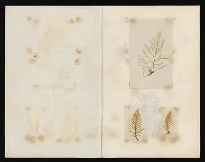 p. 18