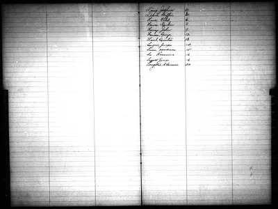 p. 15