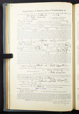 p. 31