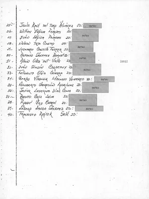 p. 27