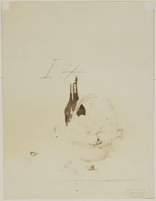 p. 2