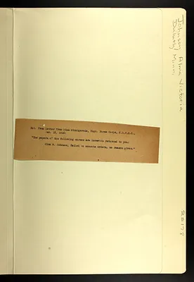 p. 21