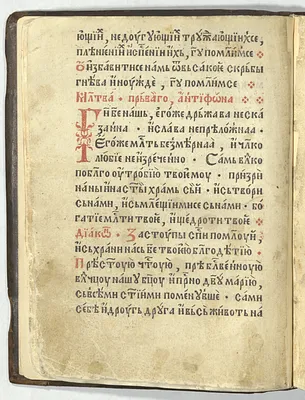 p. 18