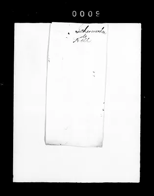 p. 20