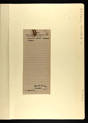 p. 13