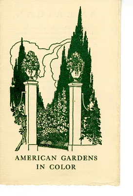 p. 31