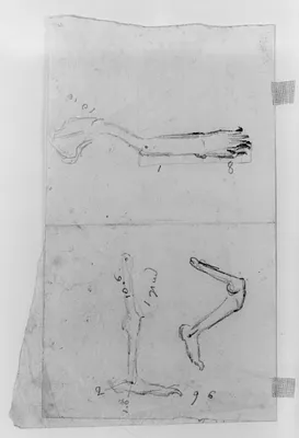 Sketches of Legs