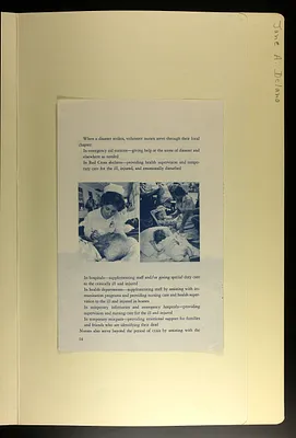 p. 49