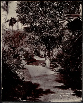 West Entrance of Botanic Garden, Saint Vincent, Caribbean