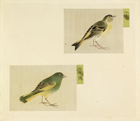 Leaf from Album Depicting Small Birds