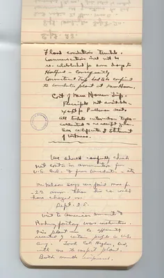 p. 17