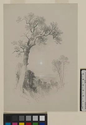 Valley Landscape in Moonlight
