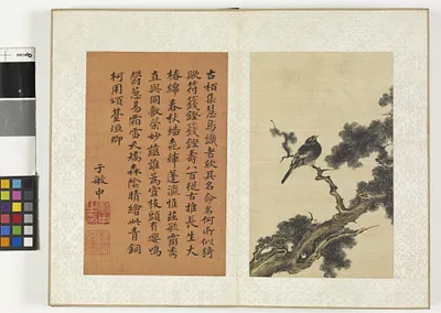 p. 12