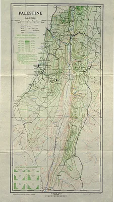 p. 3