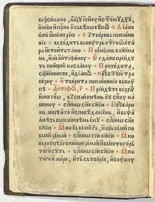 p. 22