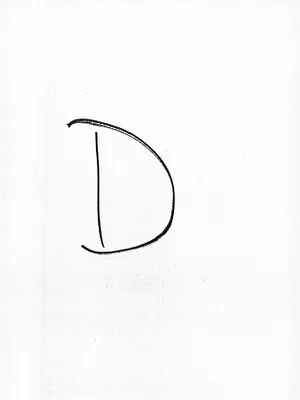 p. 46