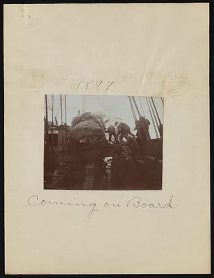 p. 11