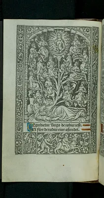 p. 5