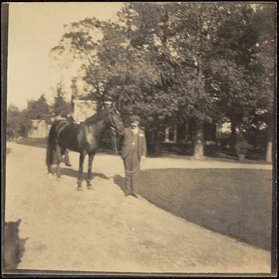 Man with horse in drive