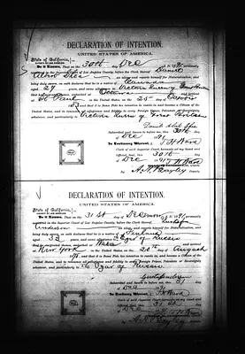 p. 31