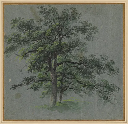 Two Trees (recto)